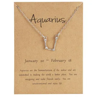 Aquarius Zodiac Necklace, White Gold Plated Alloy with Rhinestones, Constellation Pendant, 12th Sign Birthstone Gift for Women, with Kraft Card