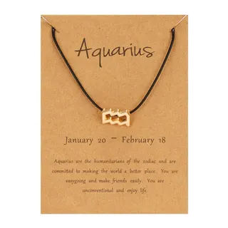 Aquarius Zodiac Sign Necklace, Black Cord Adjustable Chain, Gold Plated Alloy Water Bearer Symbol Pendant with Kraft Card Gift Packaging