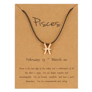 Pisces Zodiac Sign Necklace, Black Cord Adjustable Chain with 18K Gold Plated Alloy Pisces Symbol Pendant, Minimalist Zodiac Jewelry with Kraft Card, Birthday Gift for Women