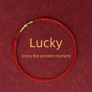 Lucky Red String Bracelet with 18K Gold Plated Charm, Handwoven Titanium Steel Adjustable 16-22cm, Lucky Charm Gift for Women